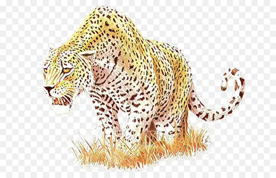 Leopardo，Guepardo PNG