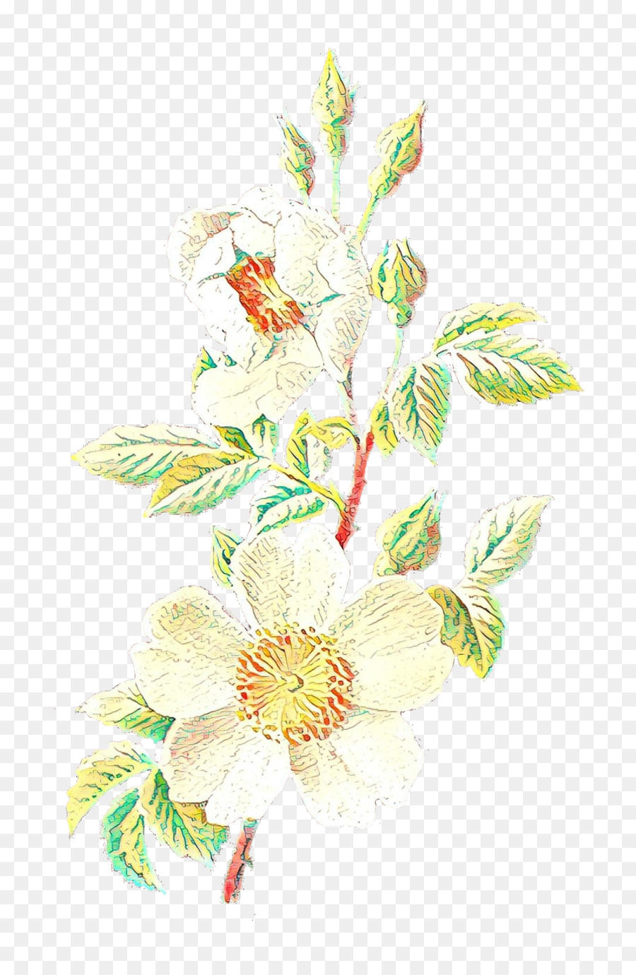 Diseño Floral，Flor PNG