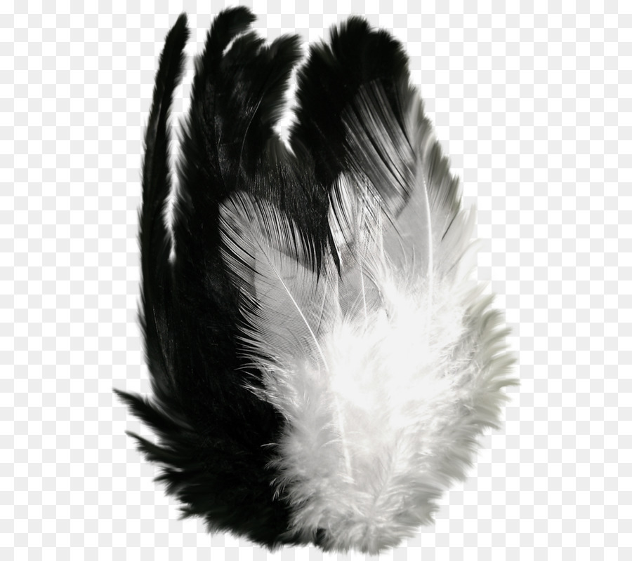 Pluma，Vuelo PNG