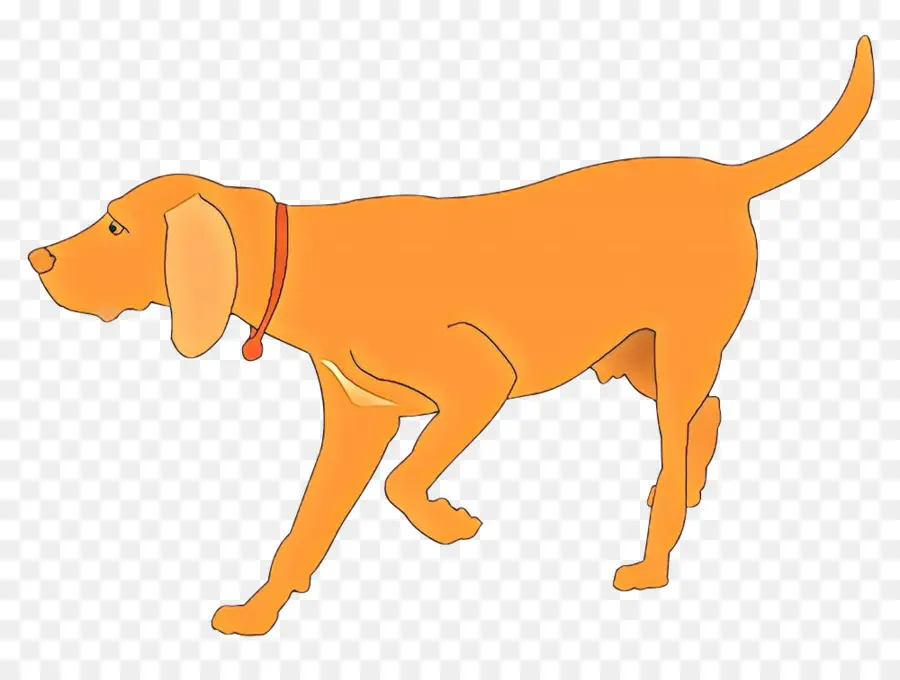 Raza De Perro，Pony PNG