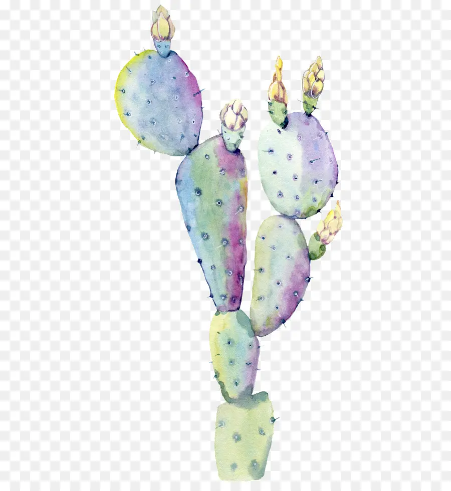 Saguaro，Pintura A La Acuarela PNG