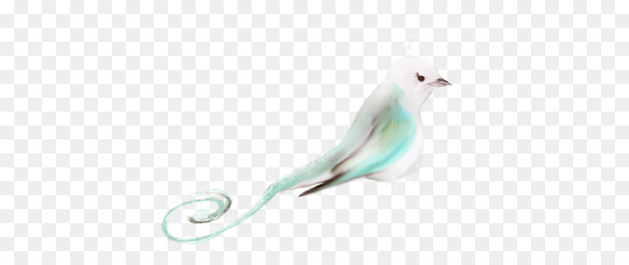 Pico，Pluma PNG