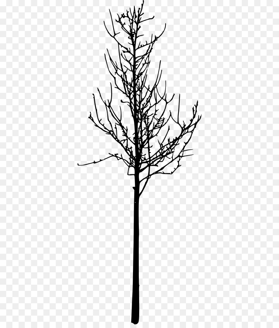 Silueta，Árbol PNG