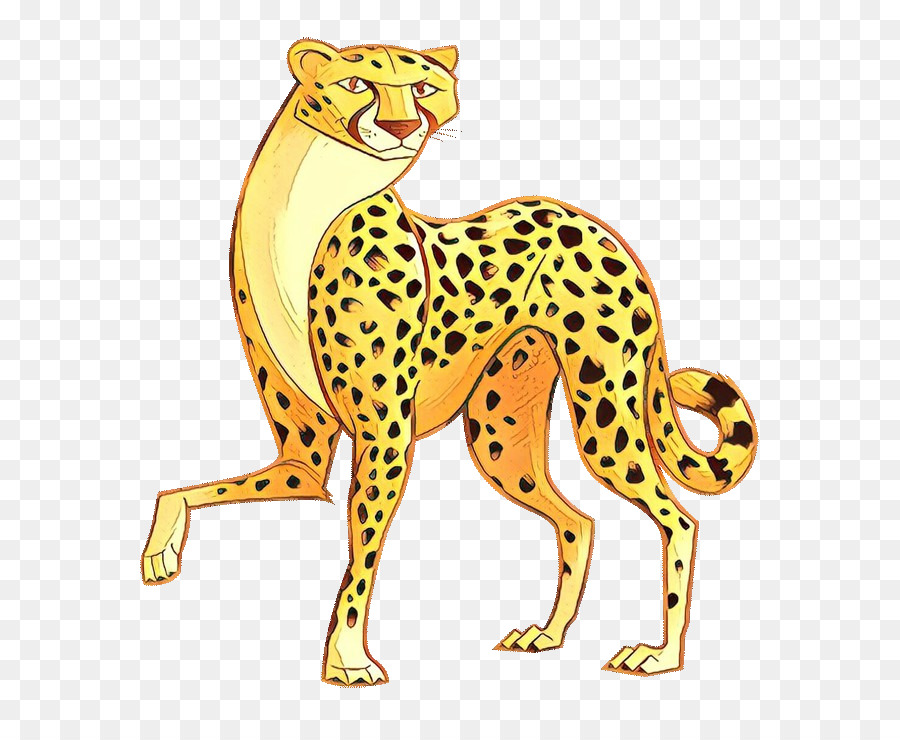 Guepardo，Leopardo PNG