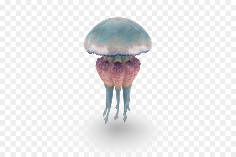 Las Medusas，Descargar PNG