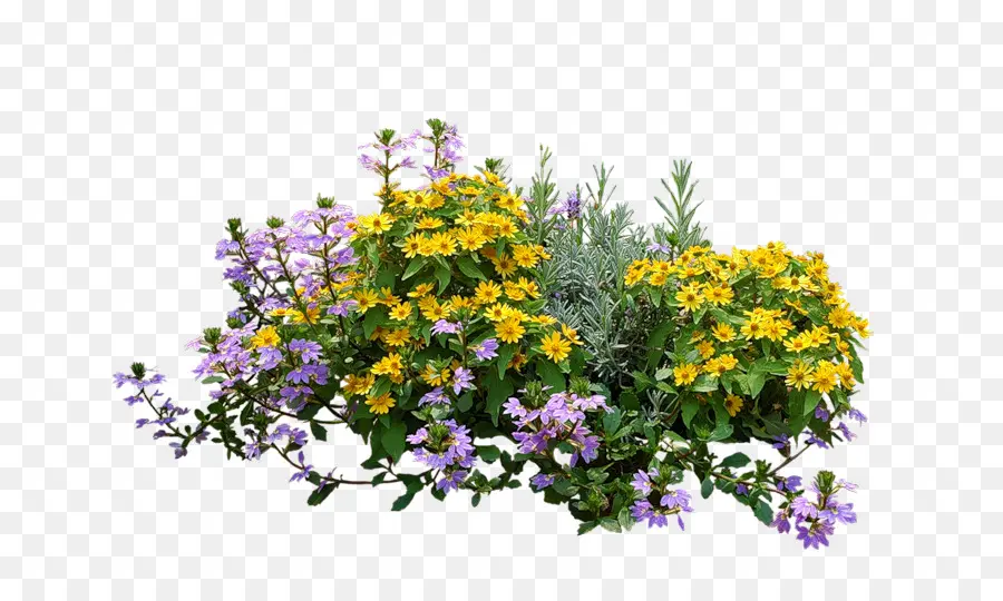 Arbusto，Jardín De Flores PNG