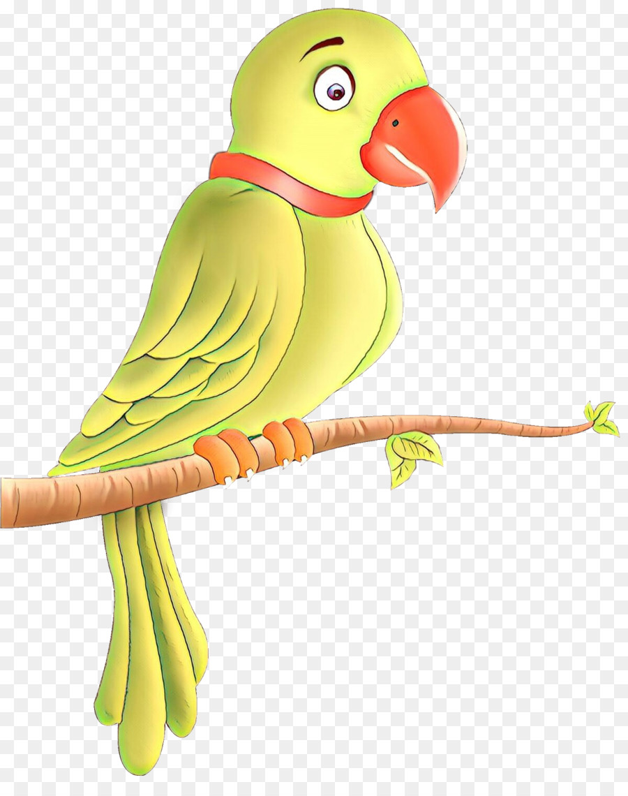 Agapornis，Guacamayo PNG