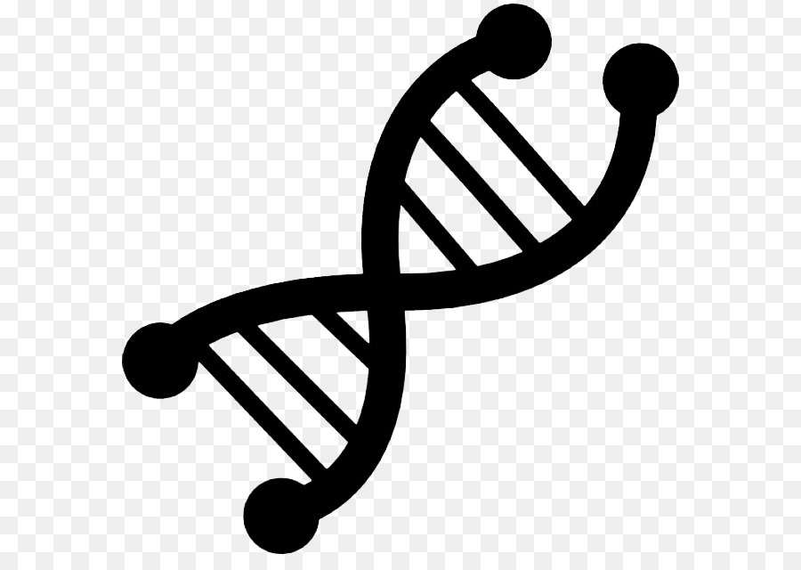 Los Genes，La Genética PNG