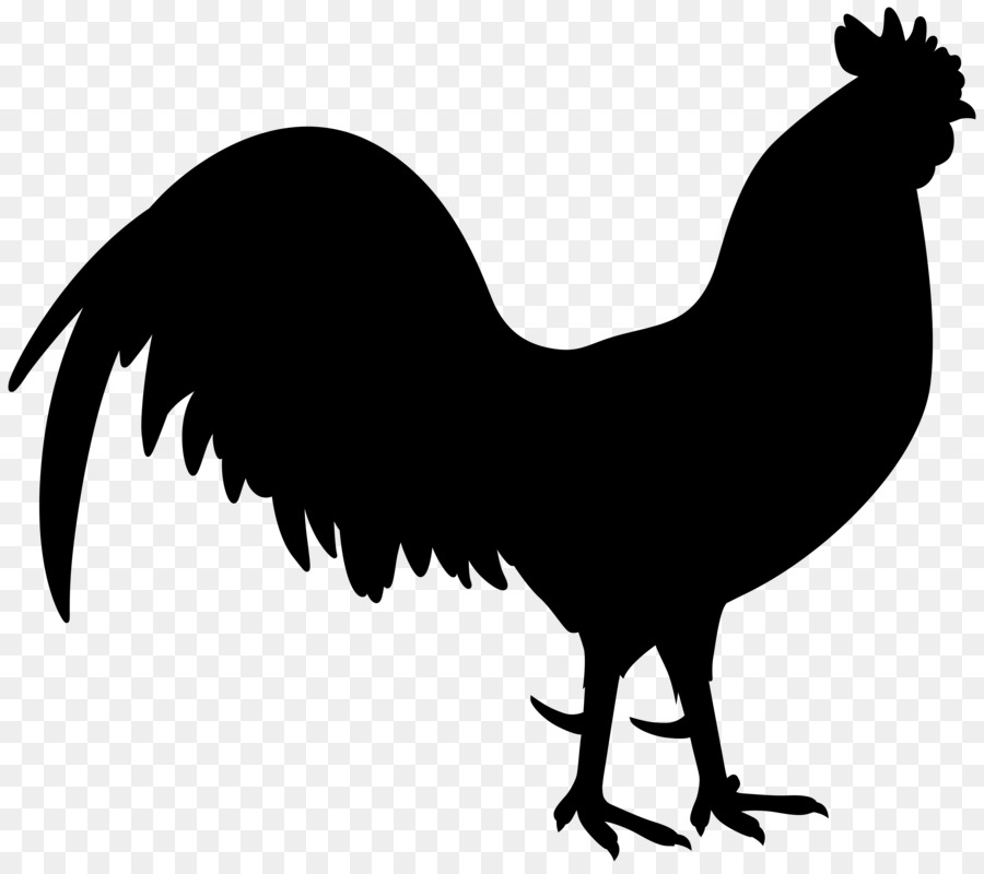 Pollo，Gallo PNG