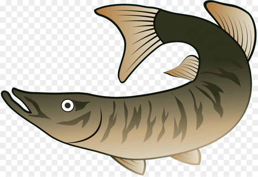 Los Peces，Requiem Tiburones PNG