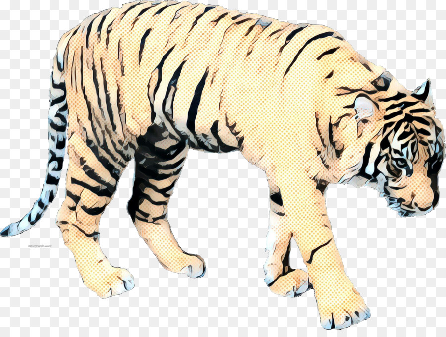 Tigre，Gato PNG