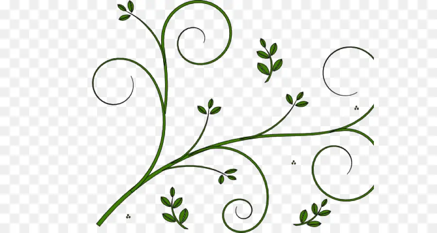 Diseño Floral，Flor PNG