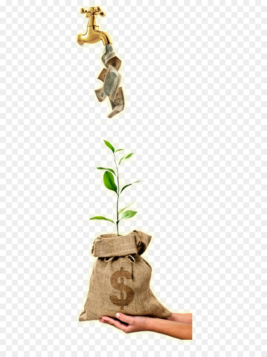 Una Fotografía De Stock，Dinero PNG