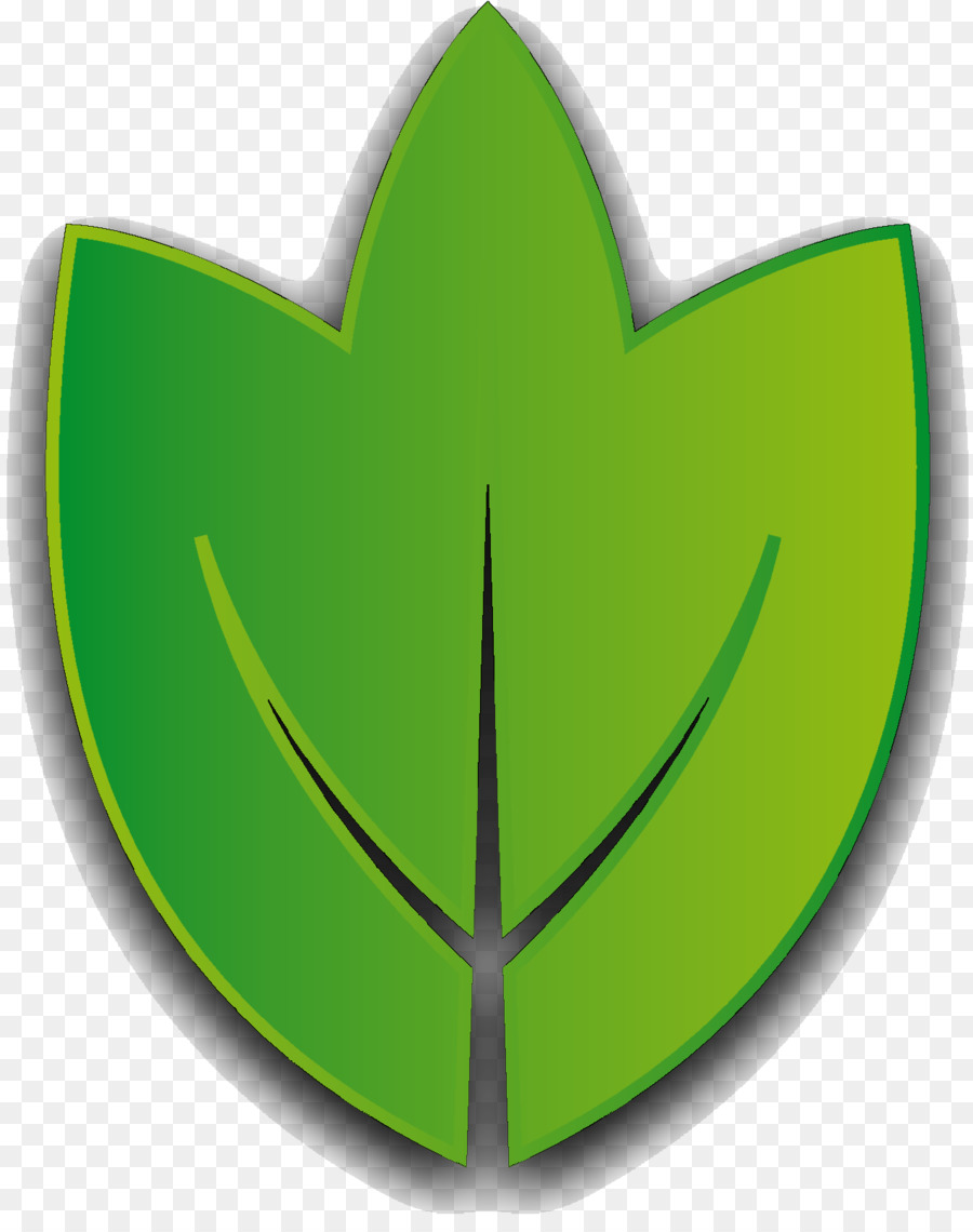 Hoja Verde，Planta PNG