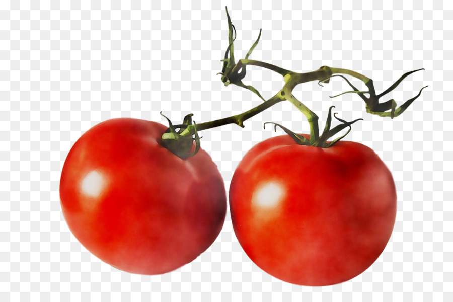 Tomate，Una Fotografía De Stock PNG