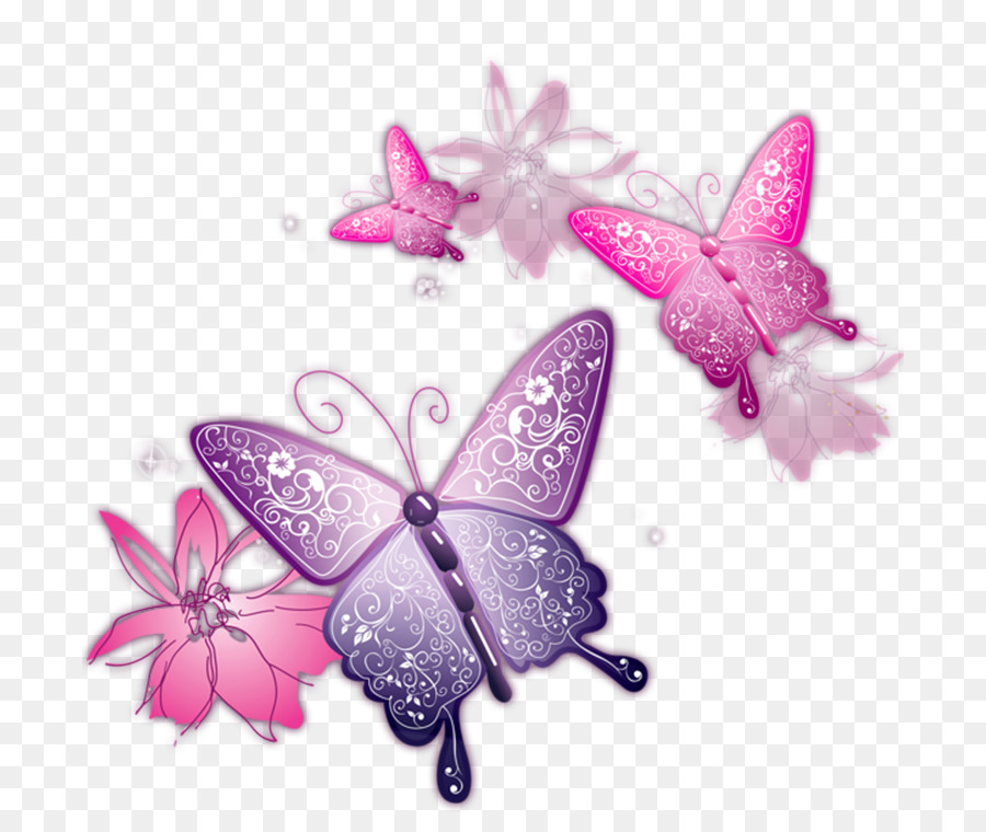 Mariposa，Fondo De Escritorio PNG