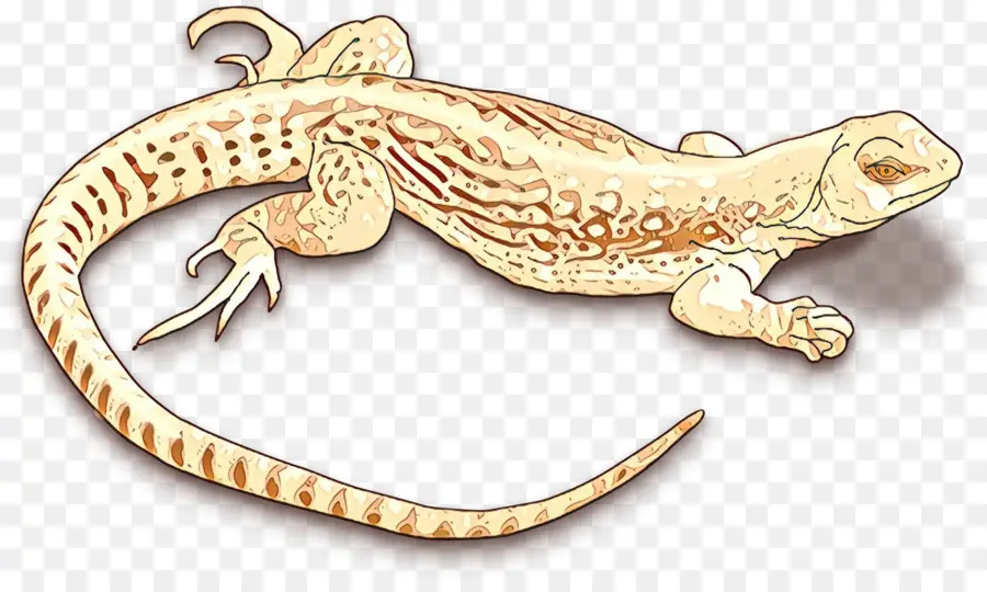 Lagarto，Reptiles PNG