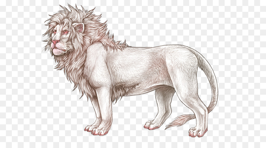 León，Gato PNG