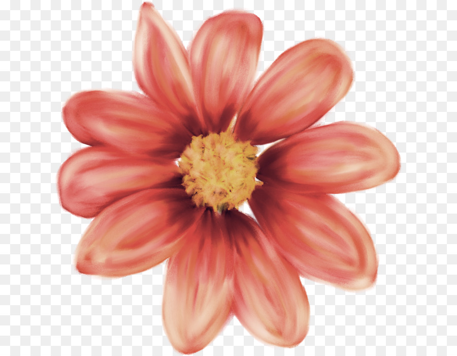 Flor，Rojo PNG