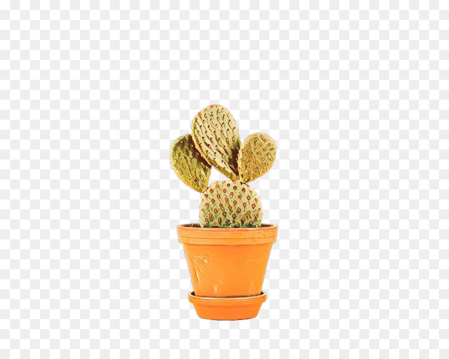 Maceta，Cactus PNG