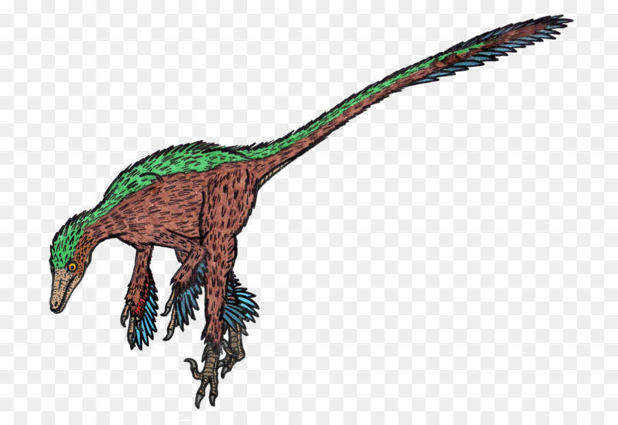 Troodon，Velociraptor PNG