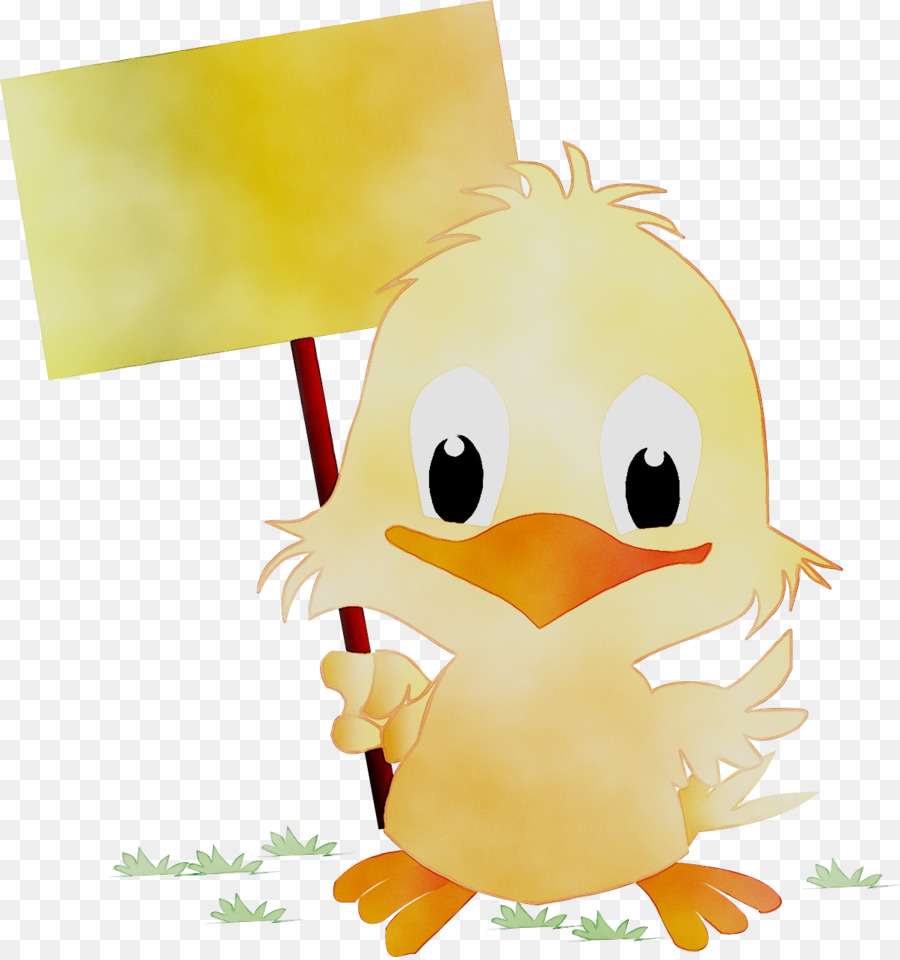 Lindo Pollito Con Cartel，Firmar PNG