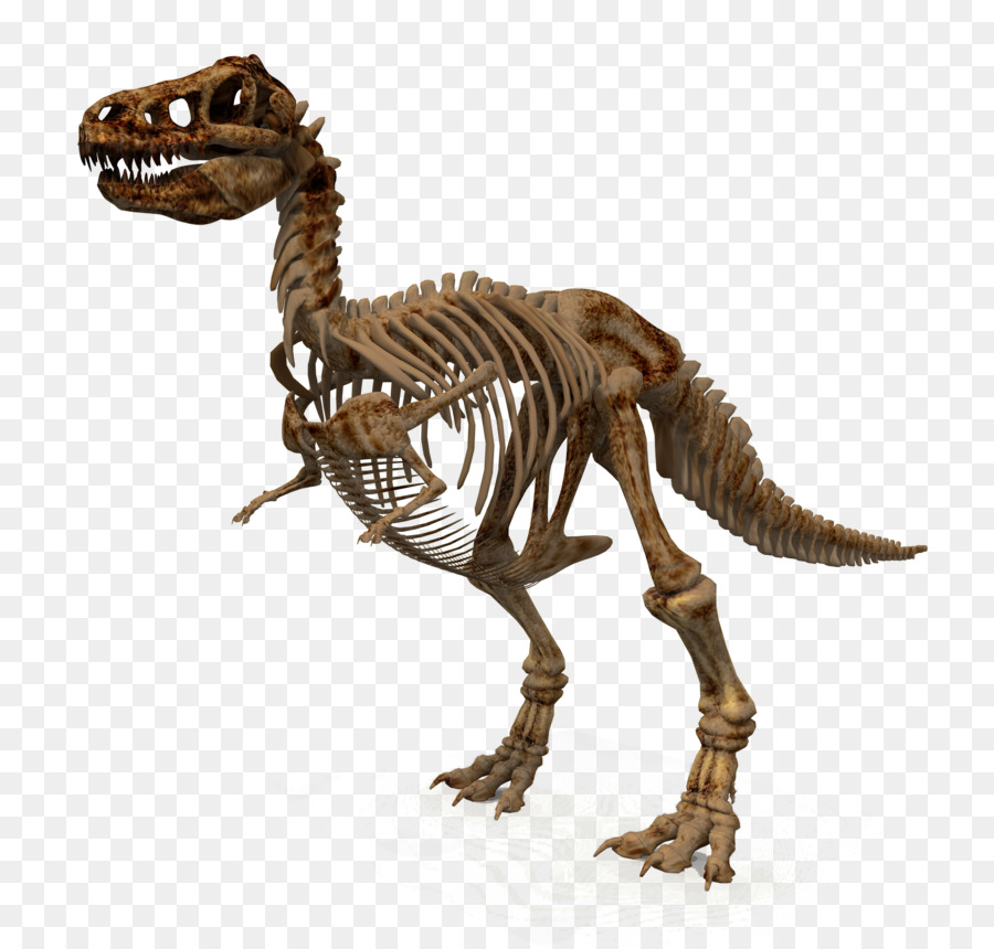 Dinosaurio，Velociraptor PNG