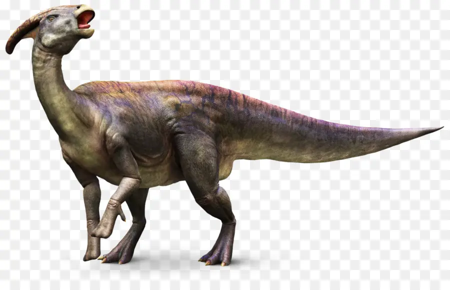 Parasaurolophus，Dinosaurio PNG