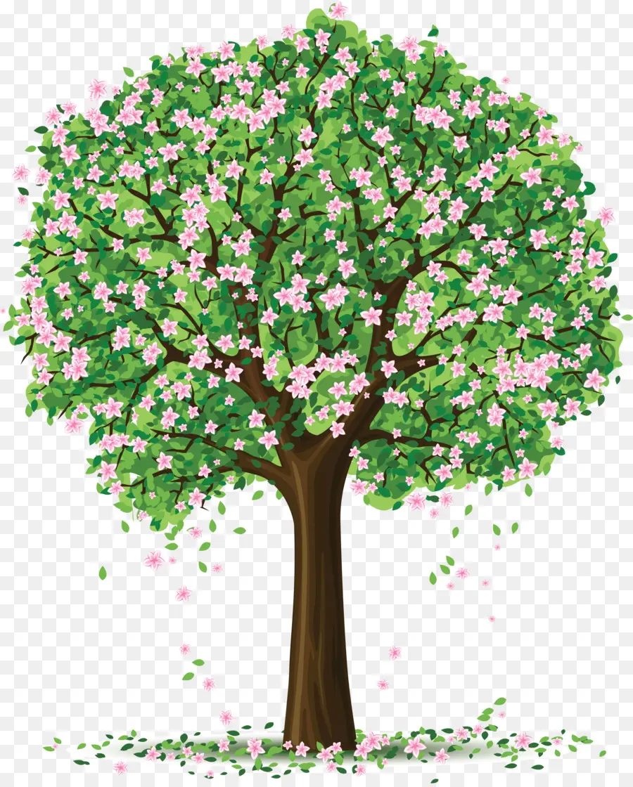 árbol Floreciente，Flores PNG