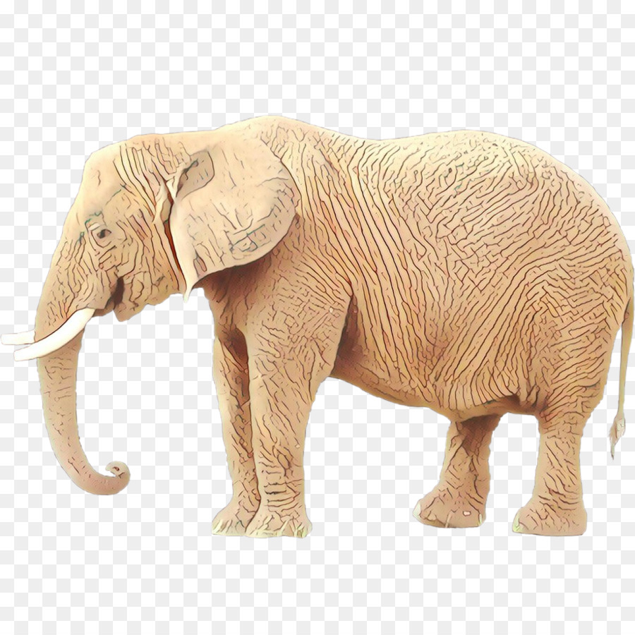 El Elefante Africano，Elefante Indio PNG