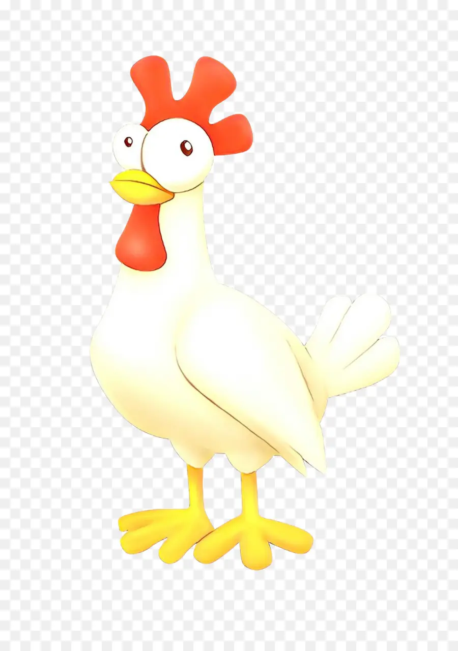 Pollo，Gallina PNG