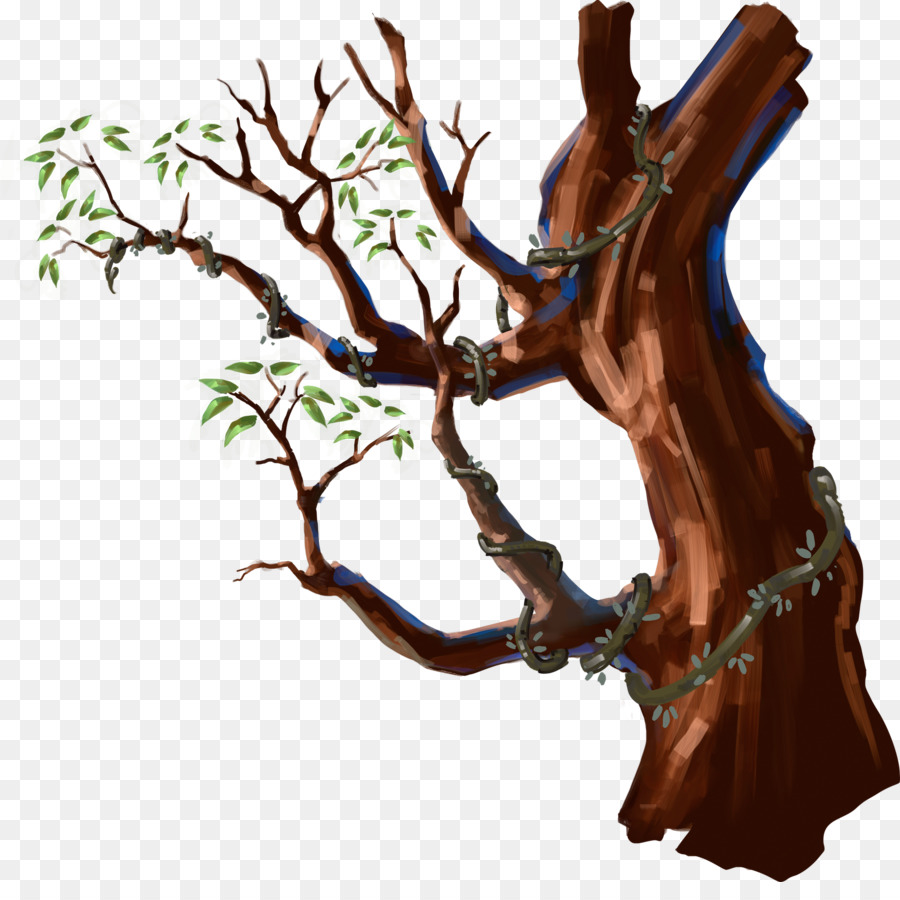 Árbol，Arbusto PNG