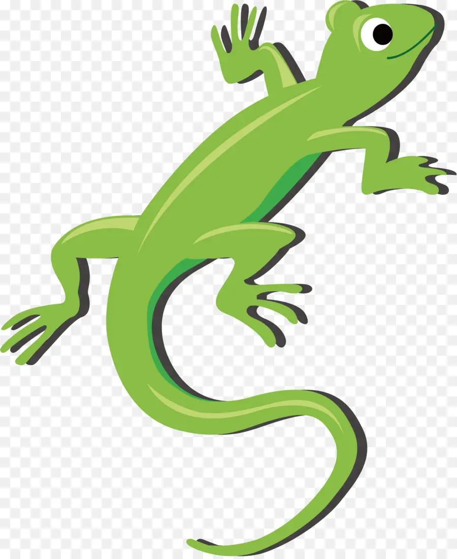 Lagarto，Copyrightfree PNG