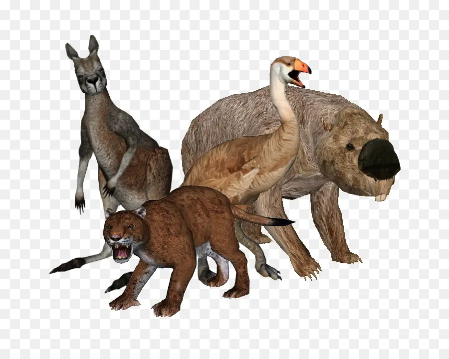 Megafauna Australiana，La Megafauna PNG