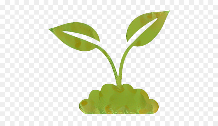 Planta，Hojas PNG