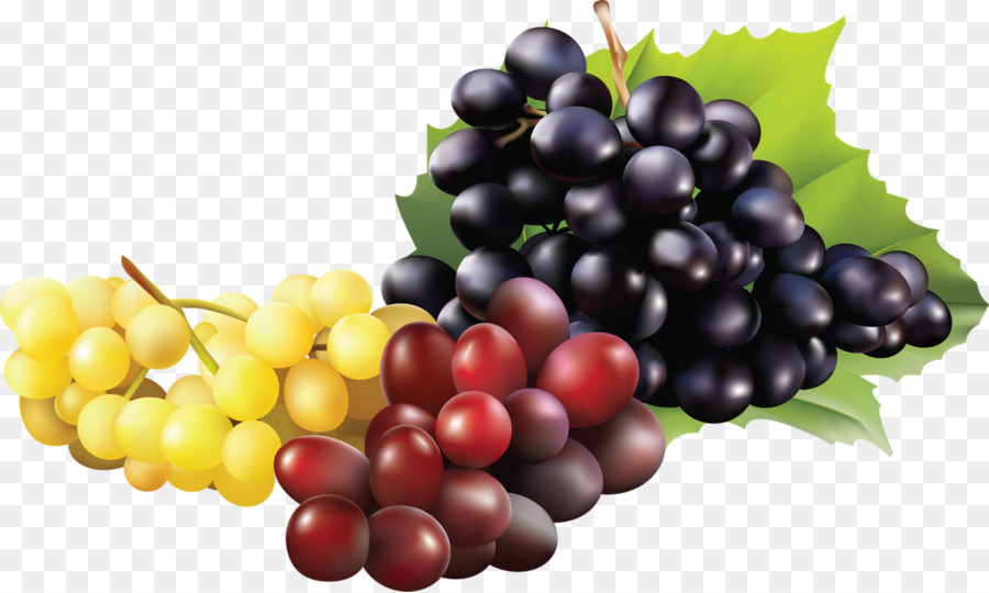 Uvas，Enredadera PNG