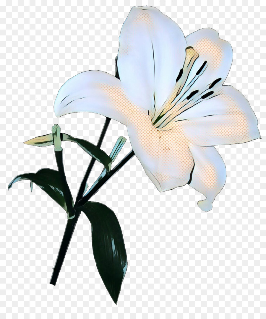 Lirios Blancos，Flores PNG