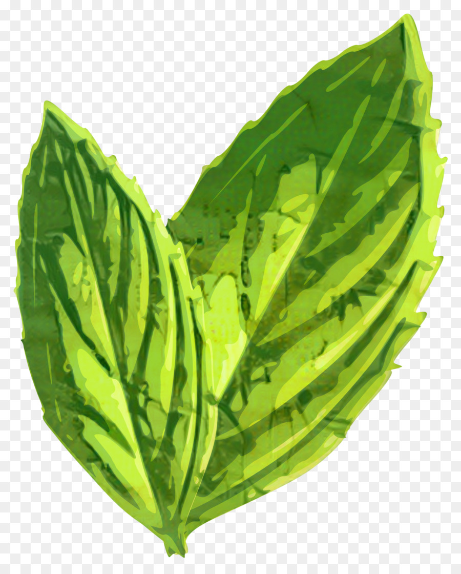 Hoja，De Verduras De Primavera PNG