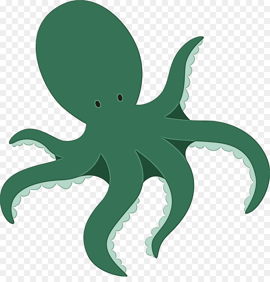 Pulpo，Los Cefalópodos PNG