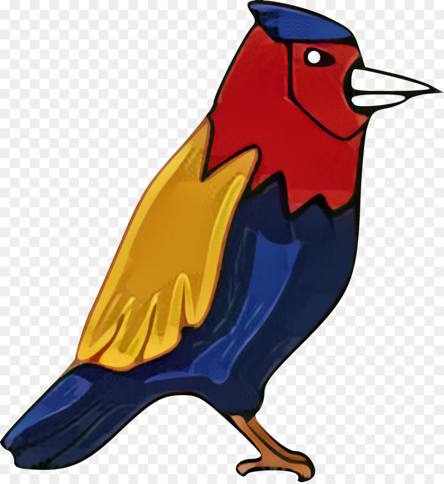 Loro，Budgericar PNG