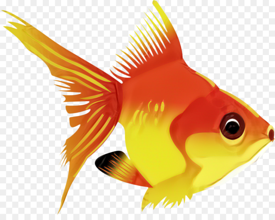 Los Peces，Pez PNG