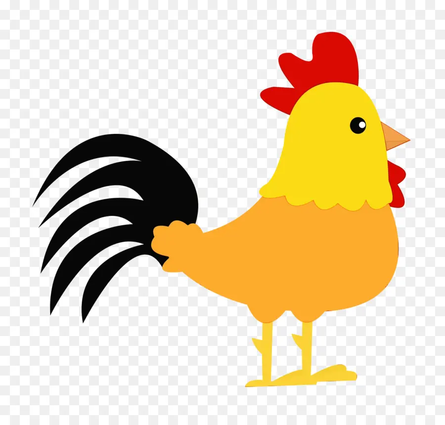 Gallo，Pollo PNG