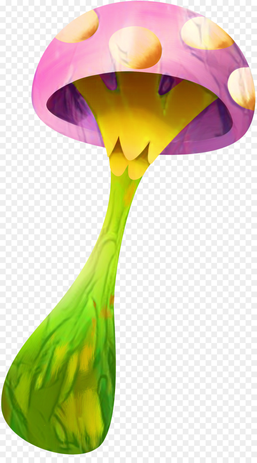 Flor， PNG