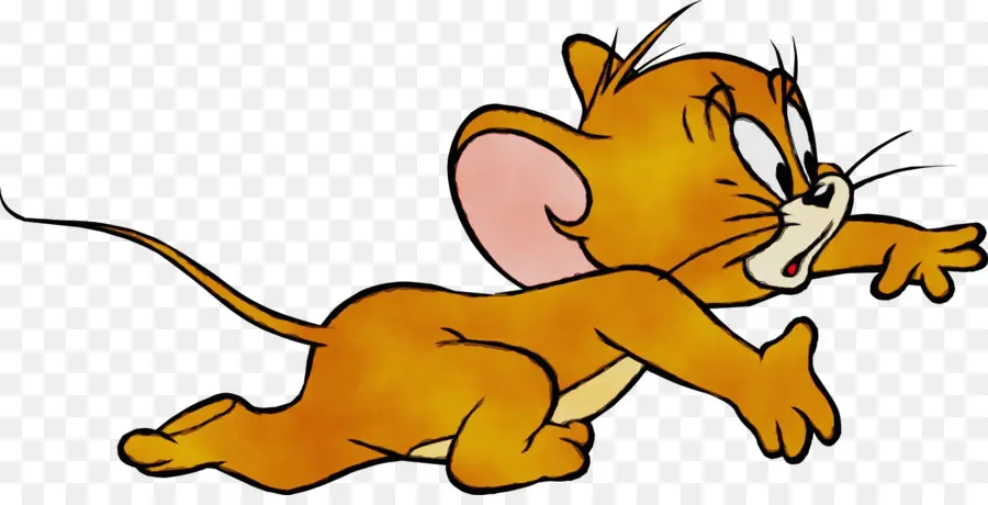 Gato Tom，El Ratón Jerry PNG