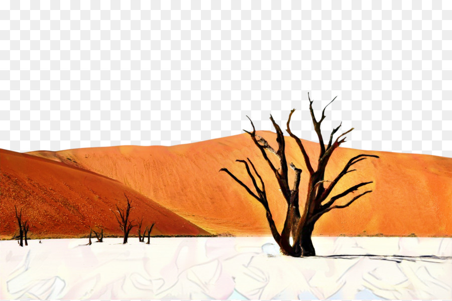 Paisaje Del Desierto，Árbol PNG