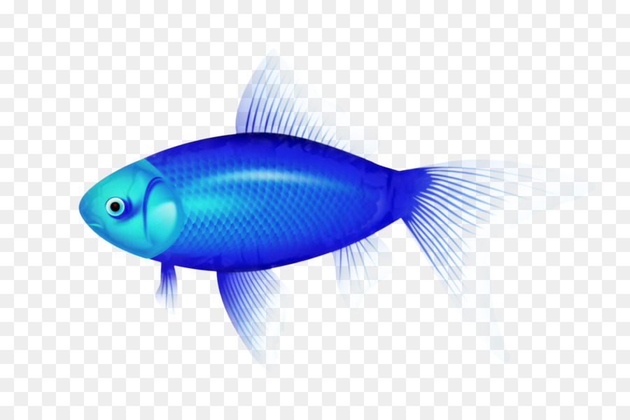 Los Peces óseos，Los Peces PNG