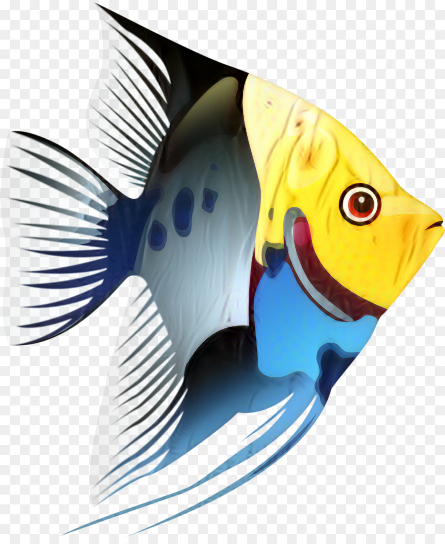 Peces Tropicales，Los Peces PNG