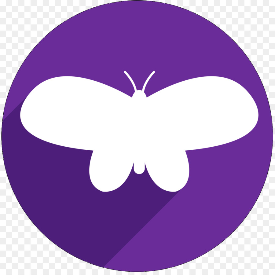 M Mariposa，Morado PNG