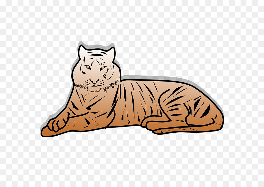 Tigre，Gato PNG