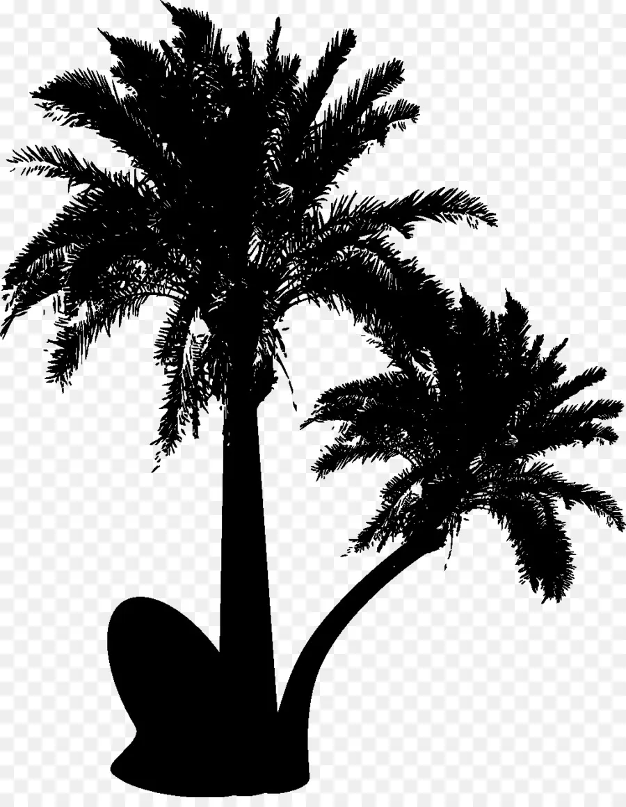 Los árboles De Palma，Silueta PNG